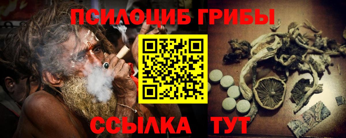 Галлюциногенные грибы Psilocybe  Псилоцибиновые грибы мицелий  Вход с VPN  Тосно 